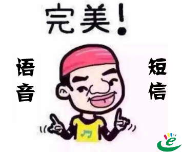 语音验证码